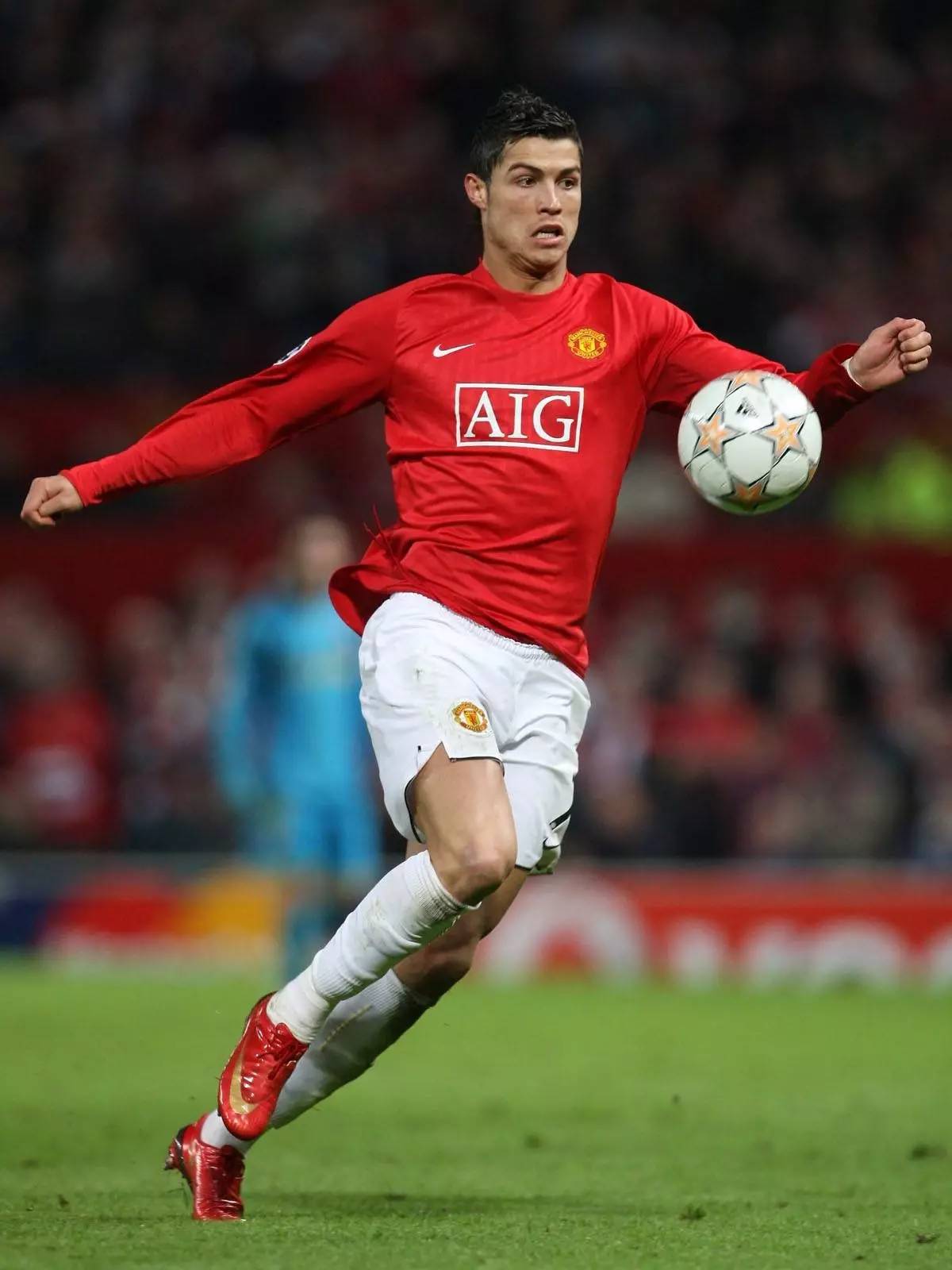 他们都将在 他们都将在