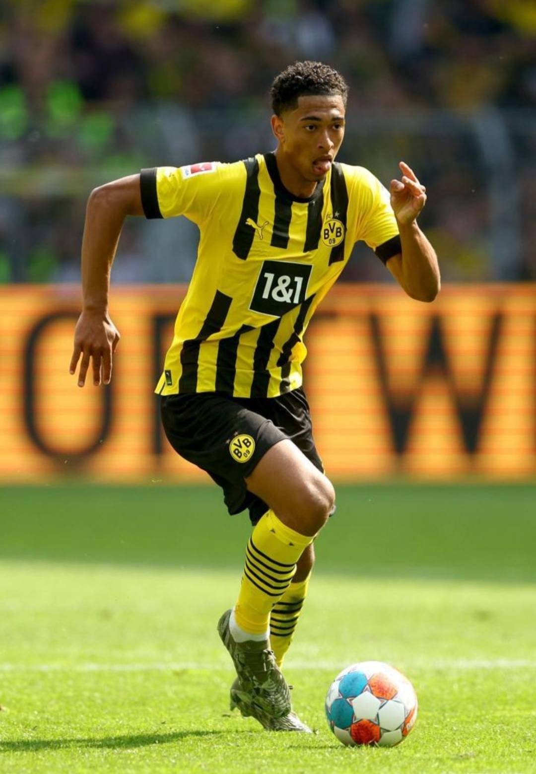 需要强调 需要强调